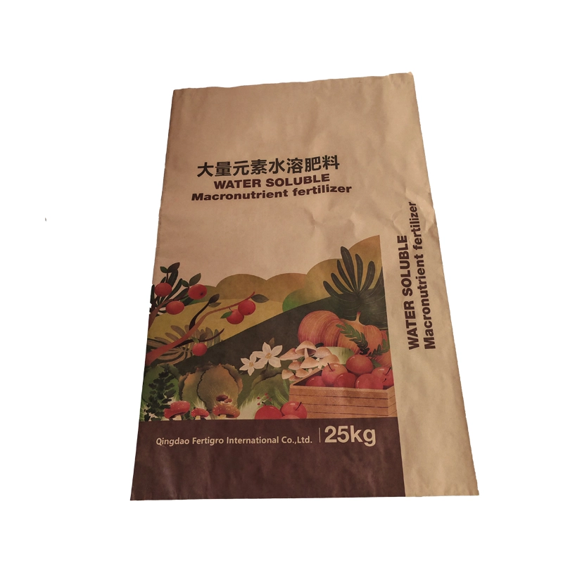 Multi -lager KRAFT PAPPER VALVER PASS PAG